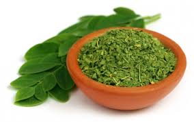 Moringa Blätter
