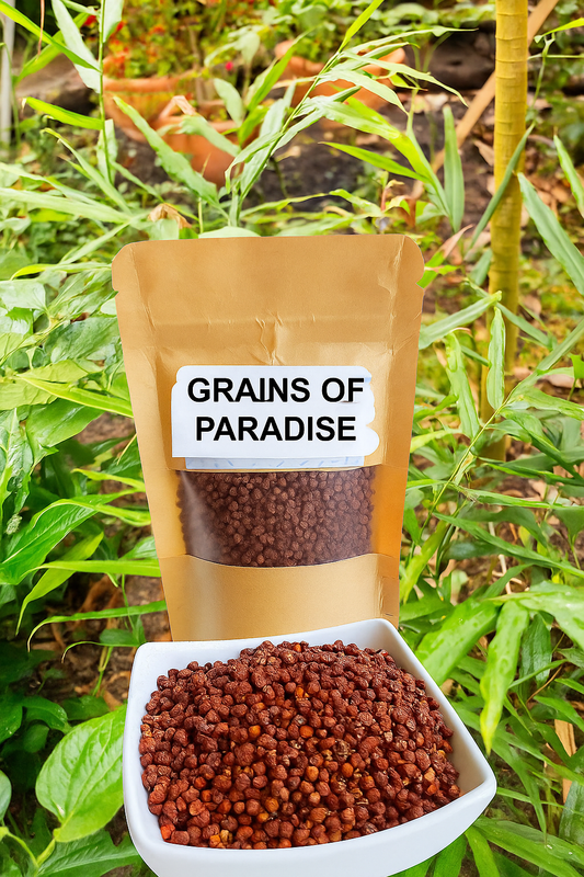 Grains of Paradise – dein natürlicher Stoffwechsel-Booster. Unterstützt Fettverbrennung, Verdauung und Energie – klein im Korn, stark in der Wirkung.