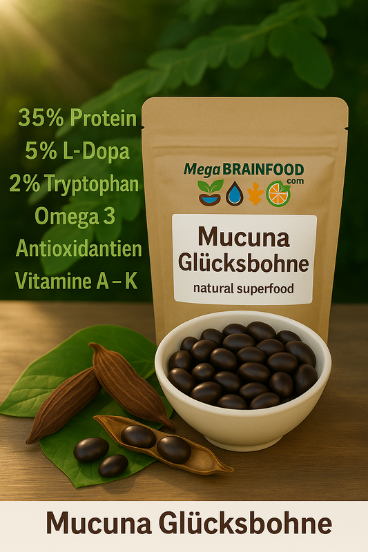 Mucuna pruriens "Glücksbohne"