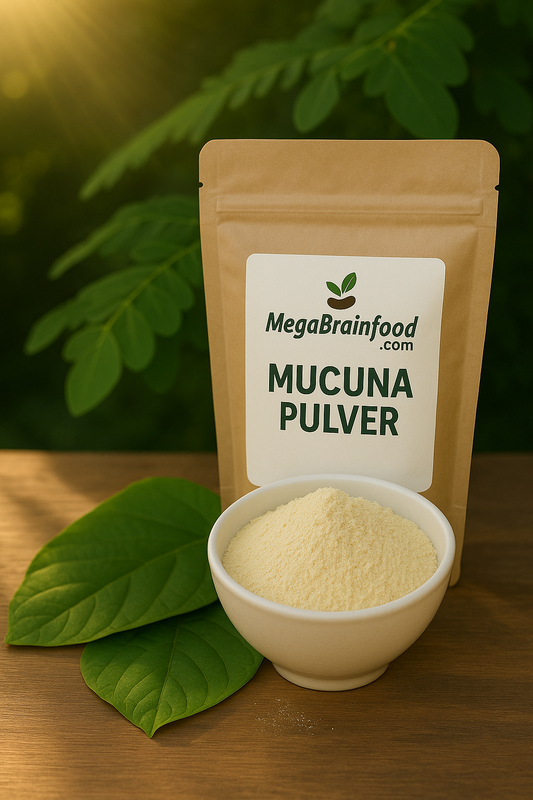 Mucuna Pulver für mehr Dopamin und Testosteron